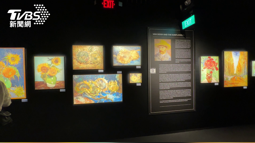 畫廊展示梵谷的各式作品與介紹。(圖/葉韋辰攝)