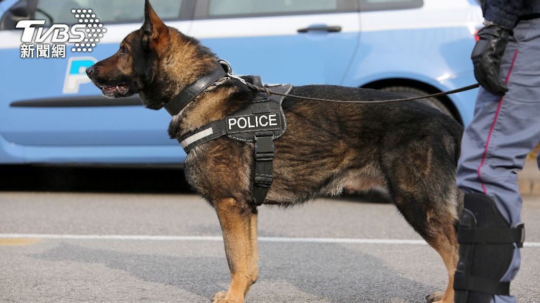 美國一連發生兩起警犬在車內熱死事故。(示意圖/達志影像shutterstock)