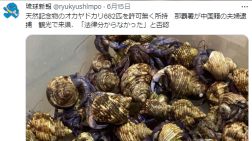 兩人被捕時供稱「不知道這種行為違法」。(圖/翻攝自推特)