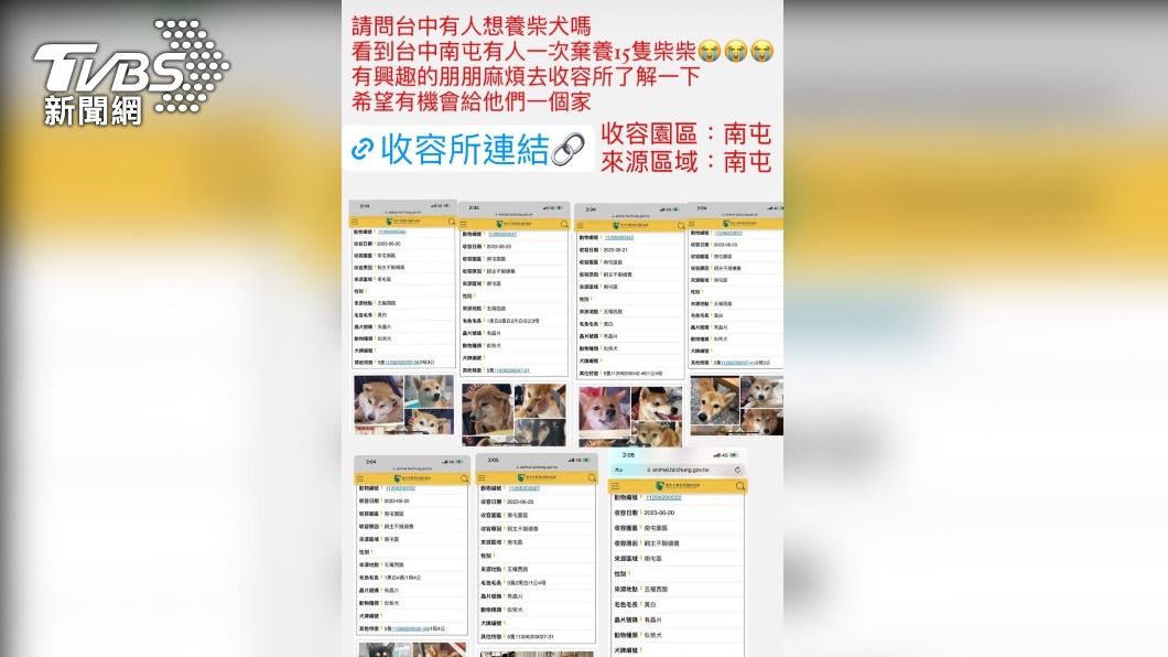 網友剛開始以為只有15隻柴犬遭棄養,後來發現實際數量更多。