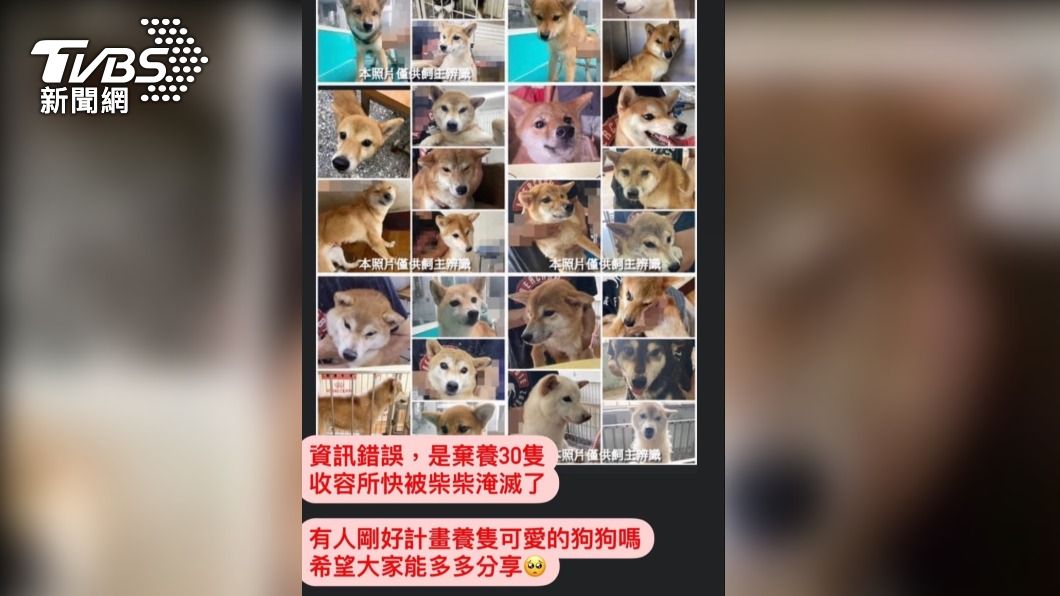 疑似是犬舍大量繁殖,淘汰品質不佳的犬隻。