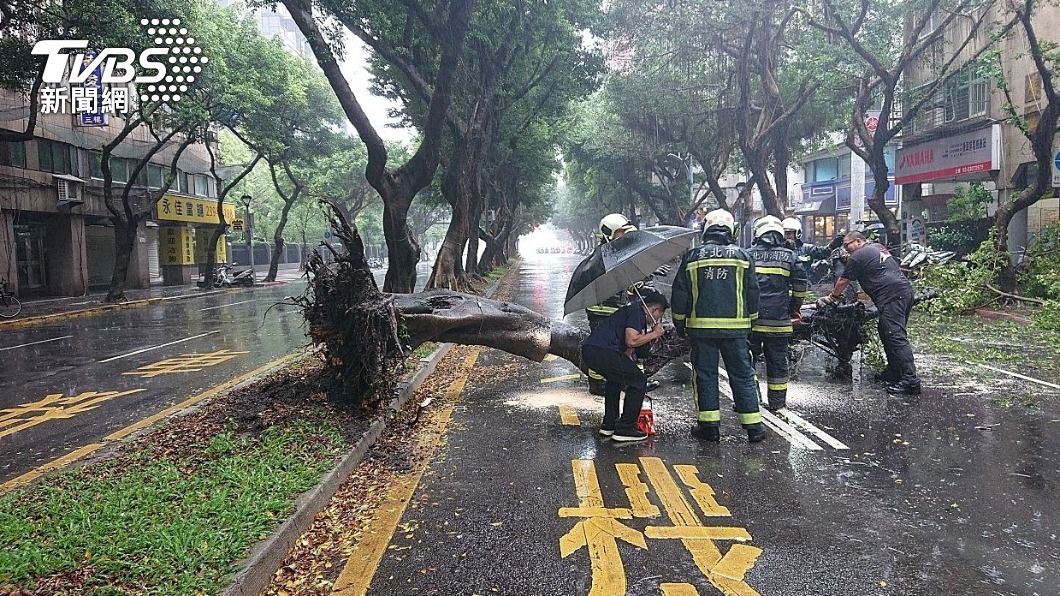雨彈轟炸雙北釀災!重慶南路「大樹連根掀翻倒路中」 警消急到場