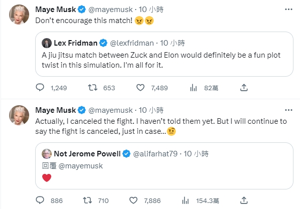 梅伊看到有人鼓吹兩人打架,直接留言教訓對方。(圖/翻攝自Maye Musk 推特 @mayemusk)