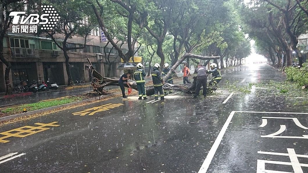 重慶南路三段路樹倒塌，所幸無人、車受傷。（圖／TVBS）