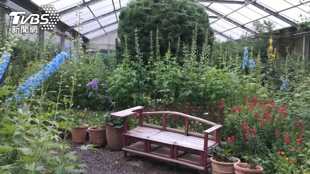 暑假最chill 「上台大」避暑.賞花.嘗鮮 三個願望一次滿足