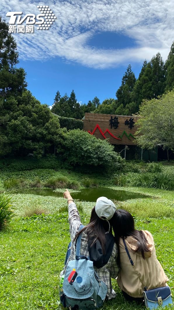 “上台大”梅峰場避暑,可以賞花,吃蔬食餐嘗鮮,三個願望一次滿足。(圖/梅峰提供)