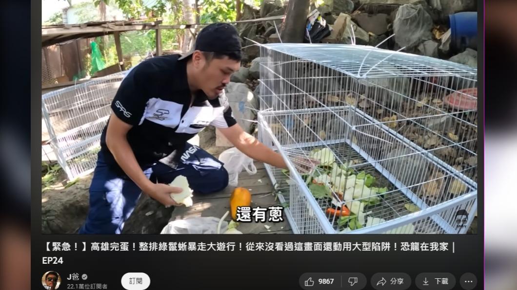 J爸經常分享捉蜥經驗。(圖/翻攝自J爸YouTube)