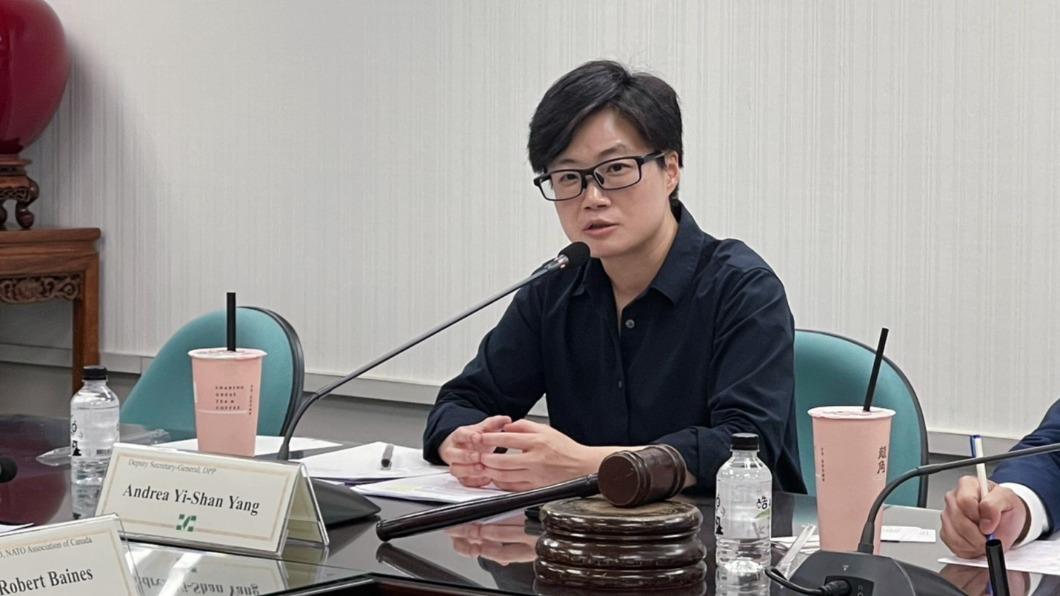 民進黨副秘書長楊懿珊。(圖/民進黨提供)