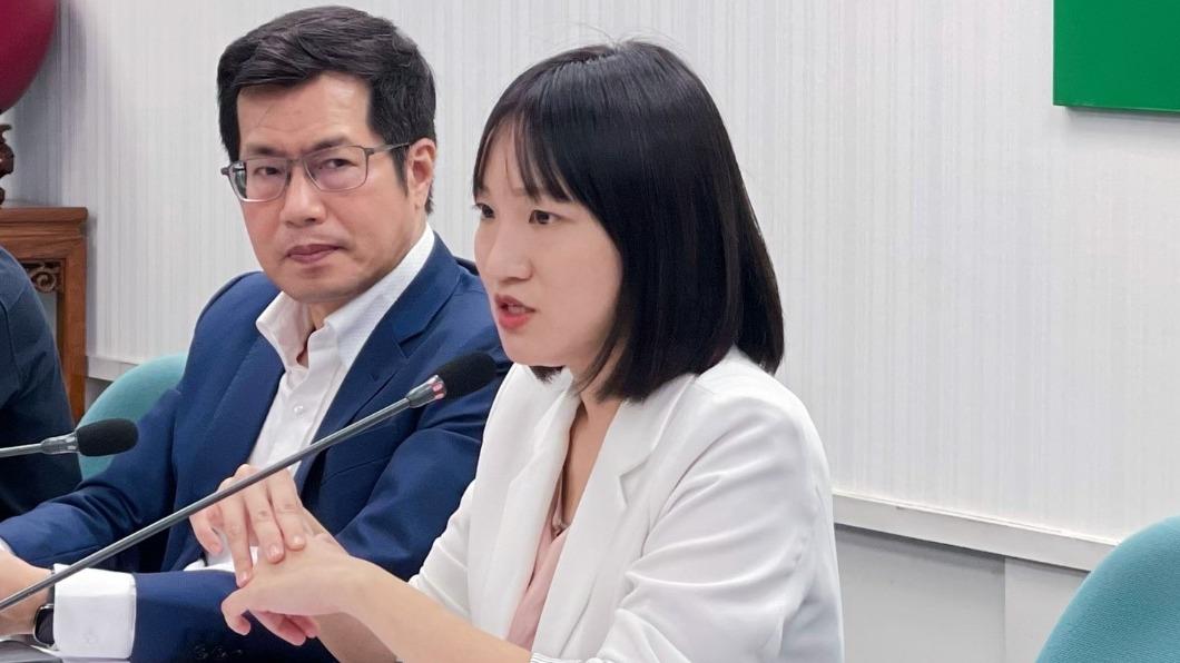 民進黨國際部主任謝佩芬。(圖/民進黨提供)