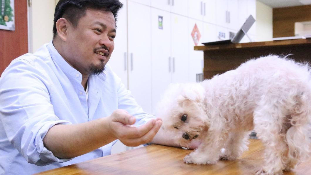 洪申翰遭柯文哲辱罵是狗，愛狗的他玩狗自嘲。（圖／洪申翰辦公室提供）