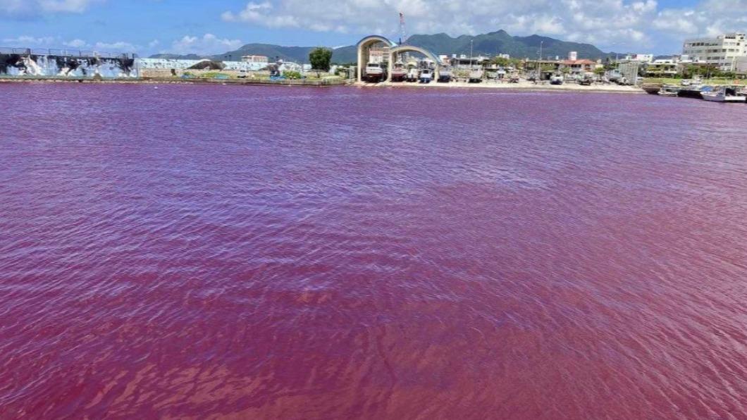 日啤酒工廠廢水洩染紅海面　漁民見「一片血海」嚇壞