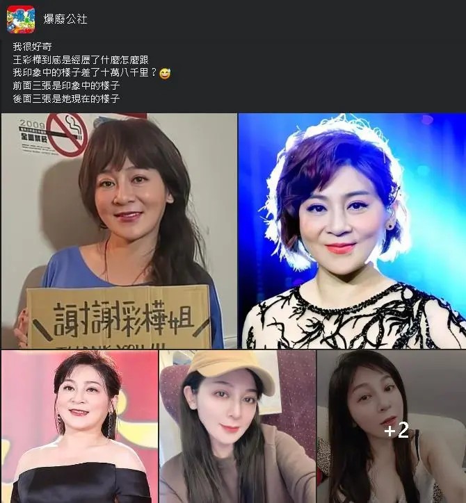 網友指出王彩樺出道至今變化很大。（圖／翻攝爆廢公社）