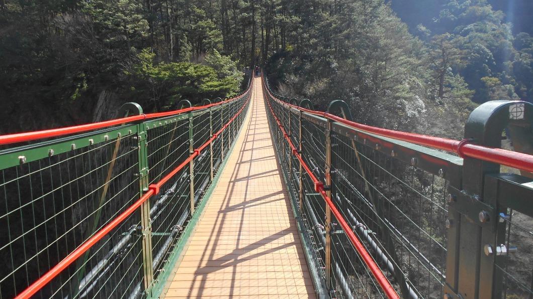 「奧萬大吊橋」可一覽溪谷及岩壁景色。(圖/奧萬大國家森林遊樂區提供)