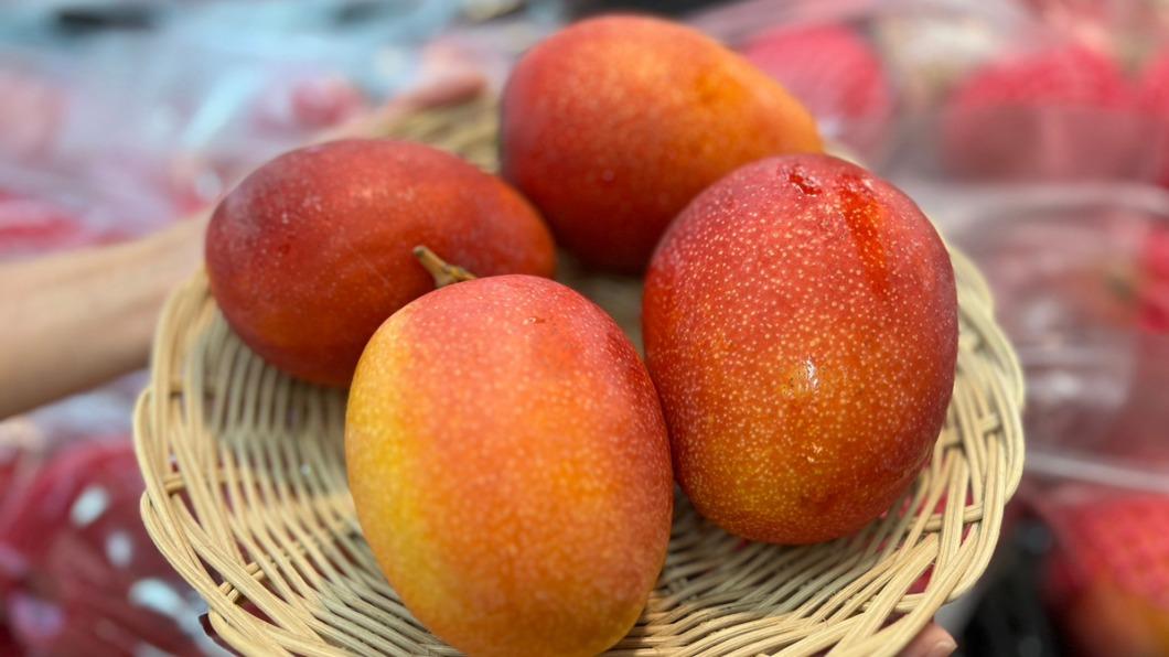 夏季限定!量販店限時台南芒果下殺1顆10元 冰品買1送1