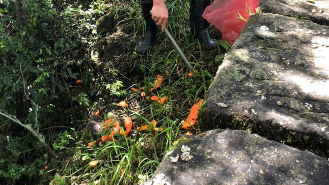 水果皮遭隨意棄置。（圖／翻攝自玉山國家公園臉書）