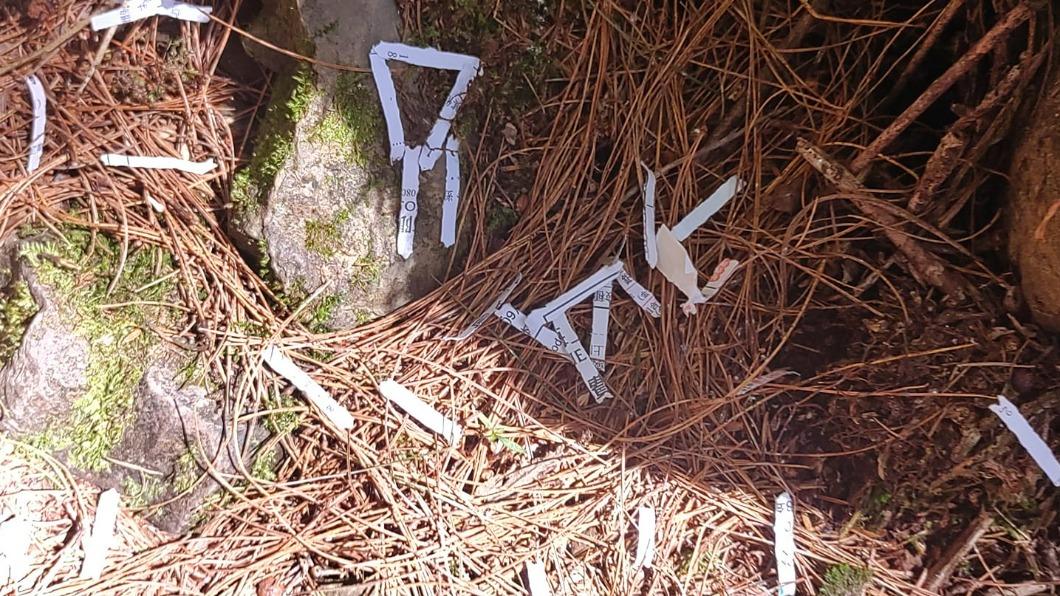 碎紙撒在園區上。（圖／翻攝自玉山國家公園臉書）