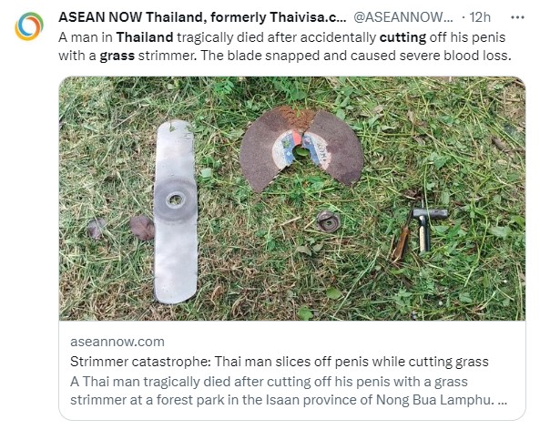 泰國男子除草不幸誤傷自己。(圖/翻攝自推特)