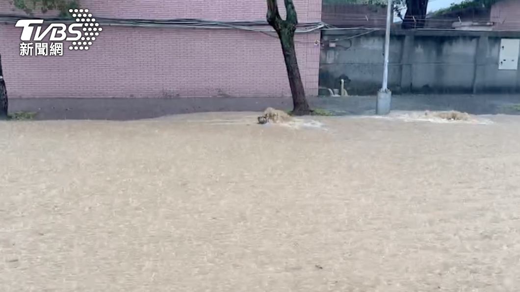台北市士林、大直地區道路嚴重積水,猶如小河。(圖/民眾提供)
