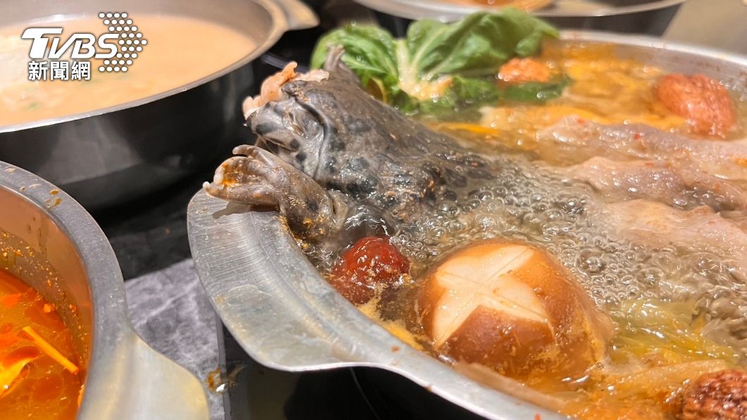 新鮮青蛙肉質帶有嚼勁。（圖／TVBS）