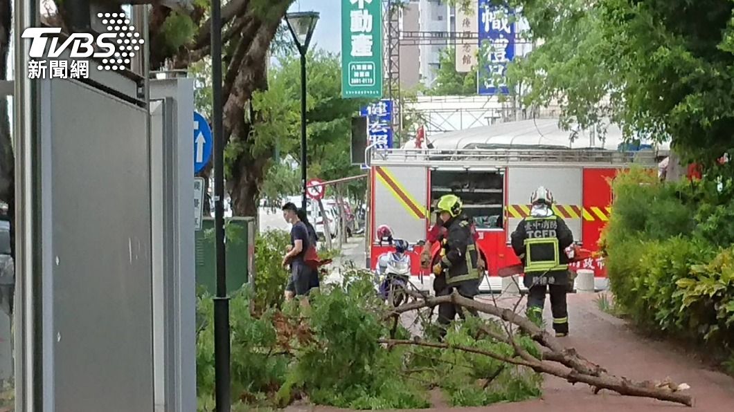路樹當場斷裂。（圖／TVBS）