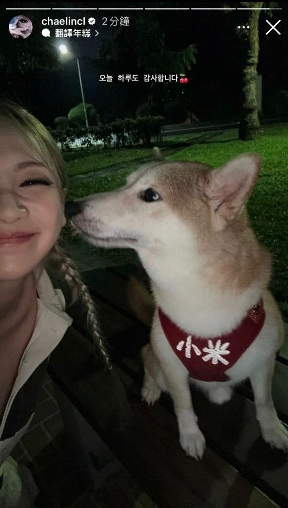 雖然來台行程緊湊,CL仍抽空出來走走,還跟可愛柴犬合照。(圖/翻攝自CL IG)