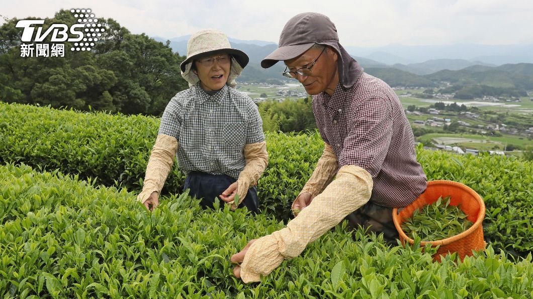 日本邁入高齡化社會，越來越多民眾過了退休年齡仍在工作。（圖／達志影像美聯社）