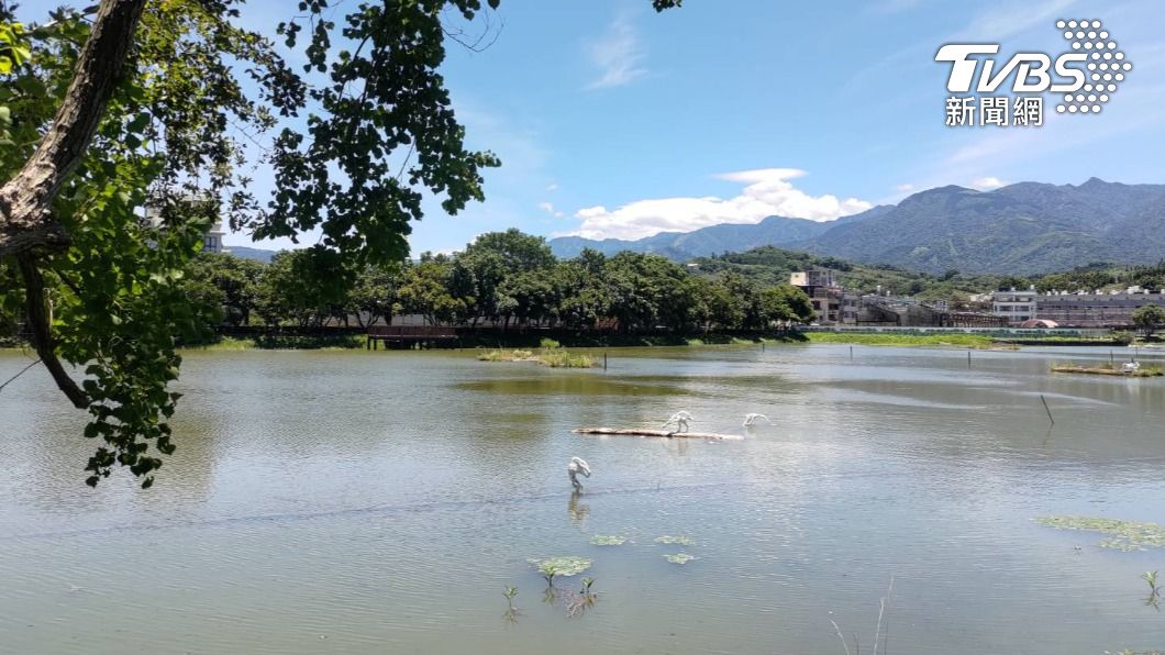 東勢林業文化園區裡有昔日最大貯木池,現在呈現不同樣貌,休憩景觀蓮花池還有藝術家創作羅智信的覓-棲-渡。(圖/TVBS)