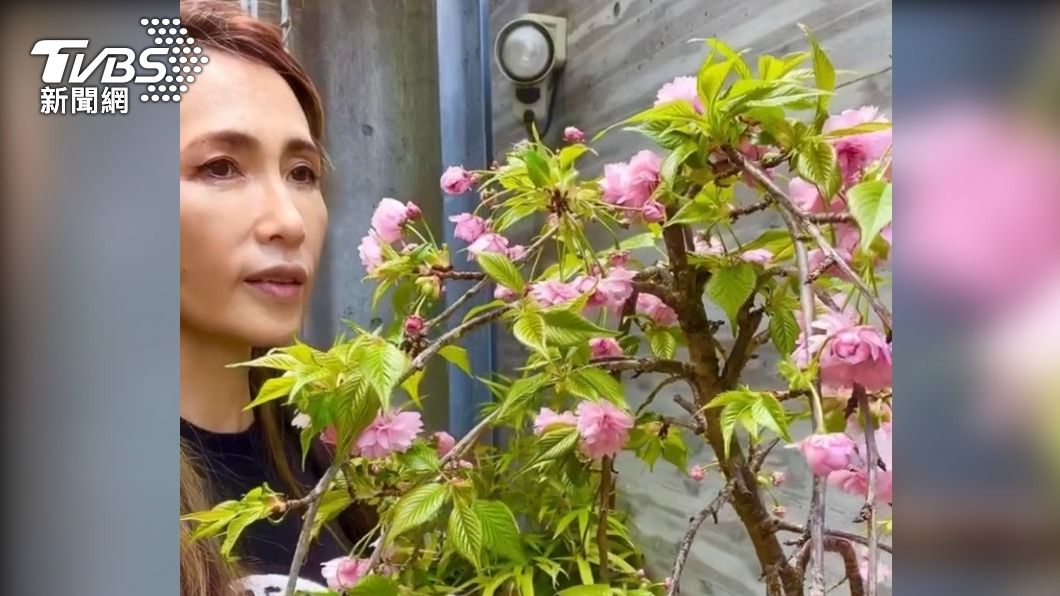 工藤靜香相當喜歡園藝，時常在IG分享。（圖／翻攝自工藤靜香IG）