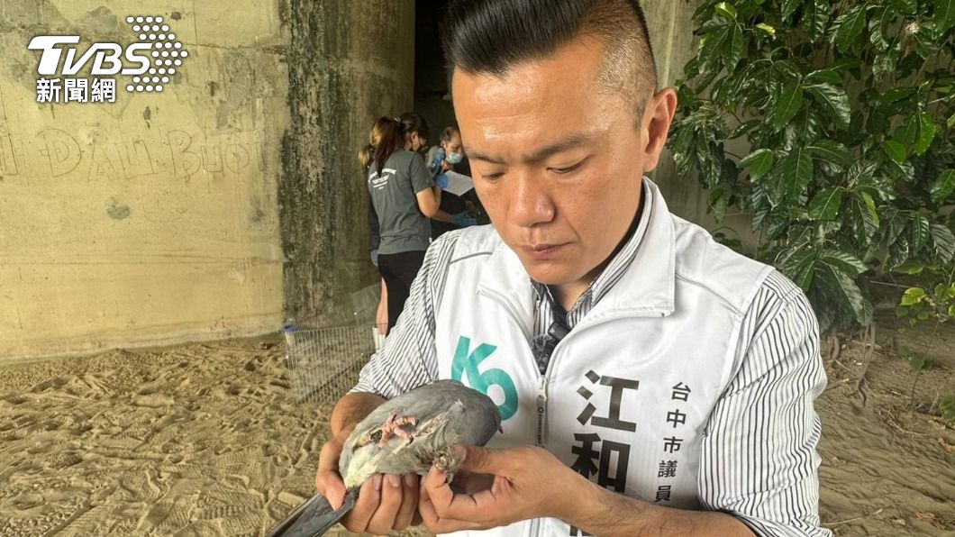 江和樹痛斥怎麼會有人如此殘忍。（圖／議員江和樹提供）