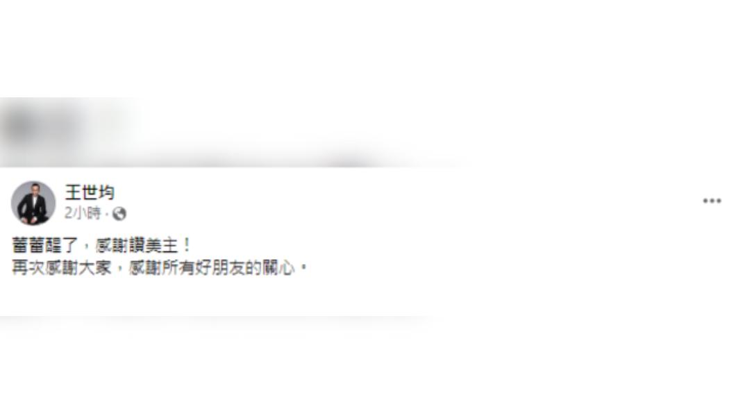 洪曉蕾清醒，前夫王世均發文感謝外界關心。（圖／翻攝自王世均臉書）