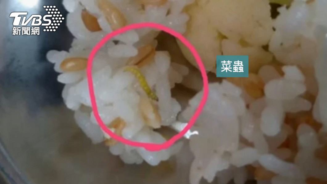 大橋國小營養午餐,白飯裡有菜蟲、熱湯裡有果蠅。(圖/TVBS)