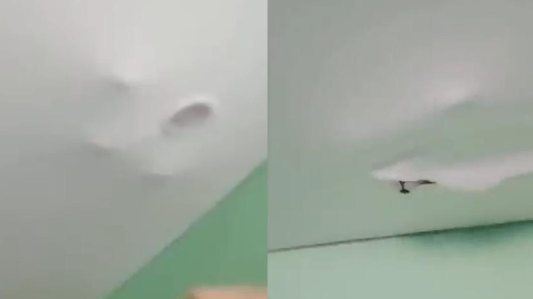 天花板冒詭異4腳印!急速亂衝下秒爆裂 網嚇傻:怎封印在那?