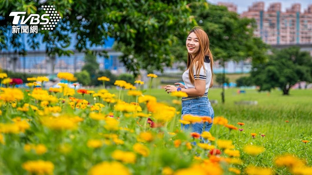 相約好友到大都會公園花海美拍打卡,也是夏日踏青的好選擇。圖/新北高灘處提供