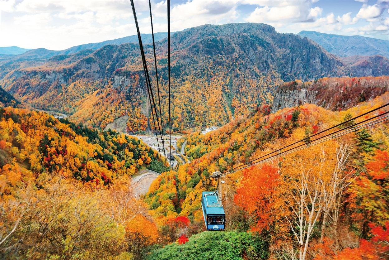 北海道賞楓秋遊道東5日搭乘空中纜車俯瞰岩壁上繽紛的紅葉景緻。(圖/易飛網提供)