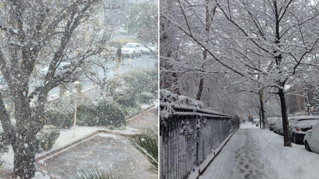 南非第一大城約翰尼斯堡10日降下睽違11年的白雪。（圖／翻攝自Twitter）