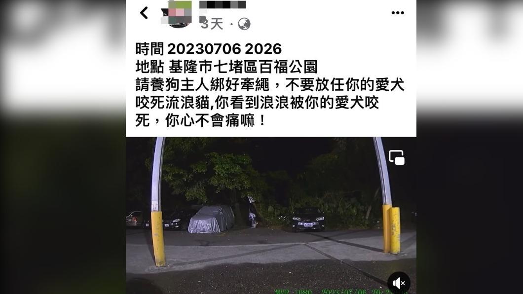 有飼主未繫牽繩,導致流浪貓被狗咬死。(圖/翻攝自臉書)