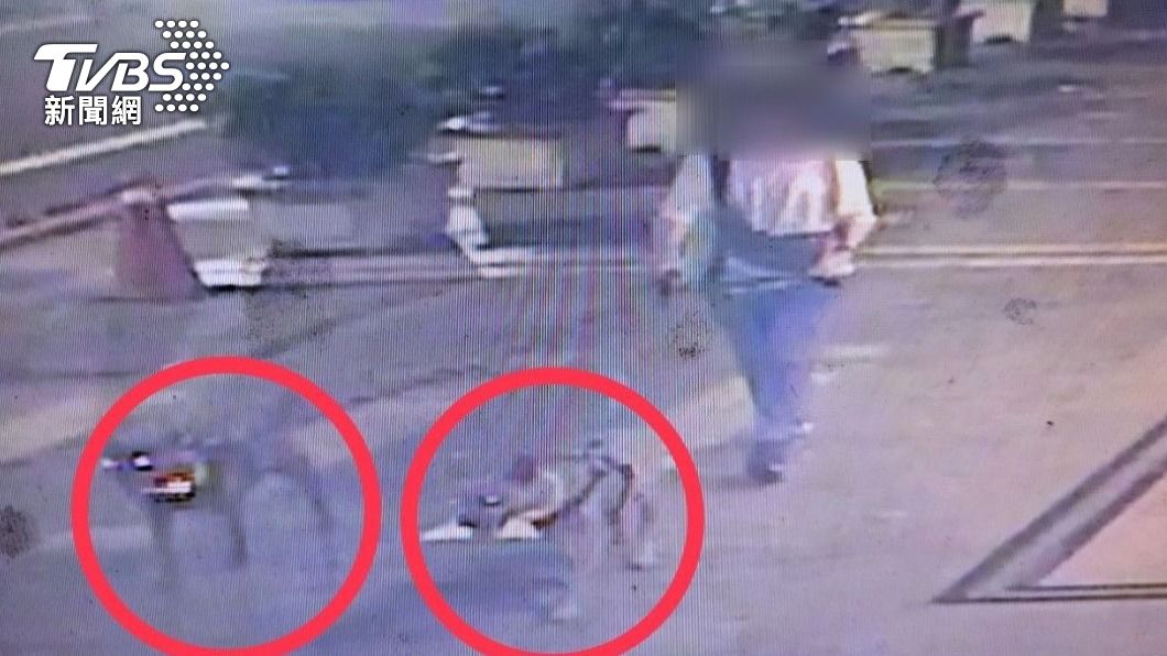 飼主遛狗沒綁繩!浪貓慘被2猛狗咬死 飼主遭肉搜