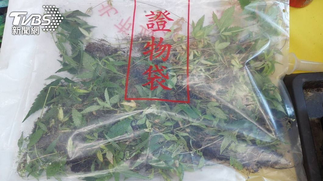 家具業務斜槓!網路賣大麻盆栽 警扮買家逮「農夫阿泰」