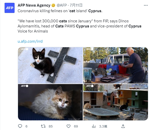 賽普勒斯的貓冠疫情引起外媒關注。（圖／翻攝自AFP News Agency 推特）