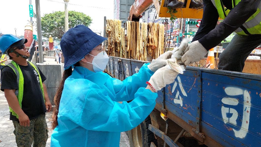 兩側樹木有上千隻鷺鷥在此聚集成家,民眾質疑市府為了解決「鳥屎」問題,進行「抄家」。(圖/基隆市政府提供)