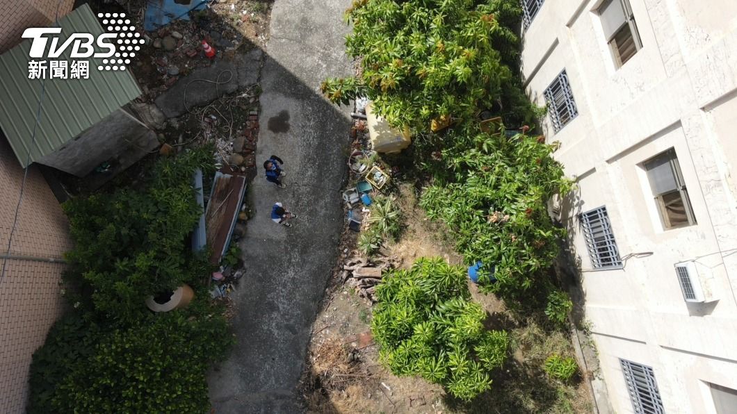 本土登革熱升溫!雲林展開滅蚊大作戰 首日開出10張罰單