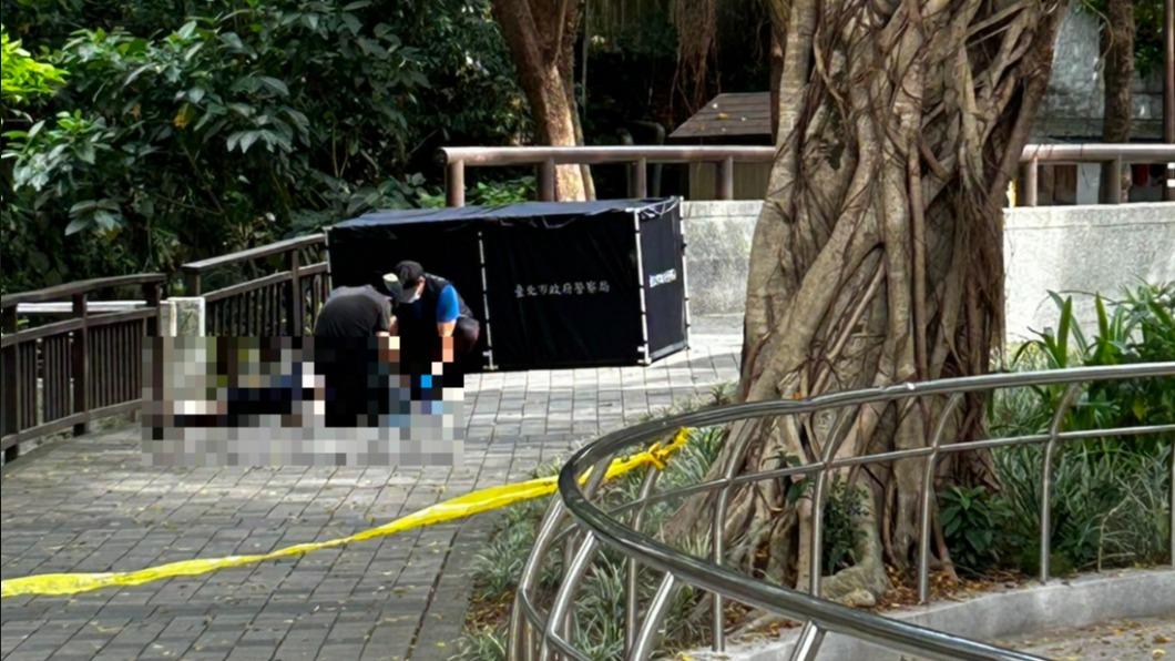 天母離奇命案!女倒臥公園小溪死亡多時 水深僅到腳踝