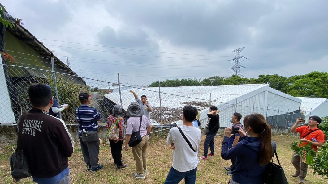 獼猴闖果園!鼓勵農民架設電圍網 竹縣補助1萬元
