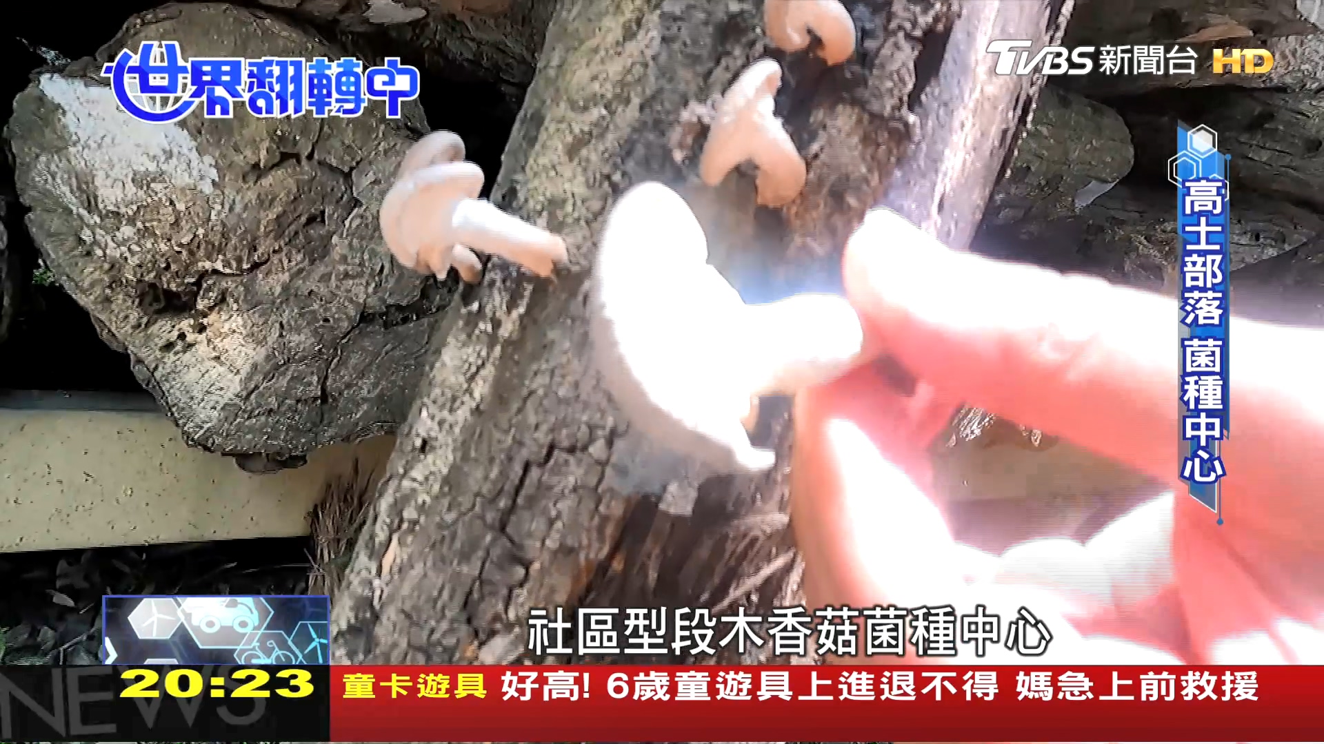 圖/TVBS