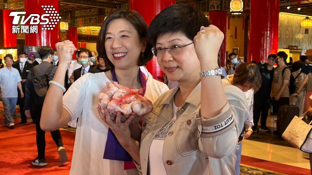 林靜儀(左)、林志潔分別參選台中市第二選區、新竹市立委。(圖/黃宣尹攝)