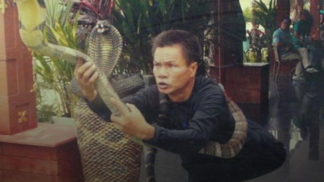 柴布迪吻蛇長達28年。（圖／翻攝自thailand post）