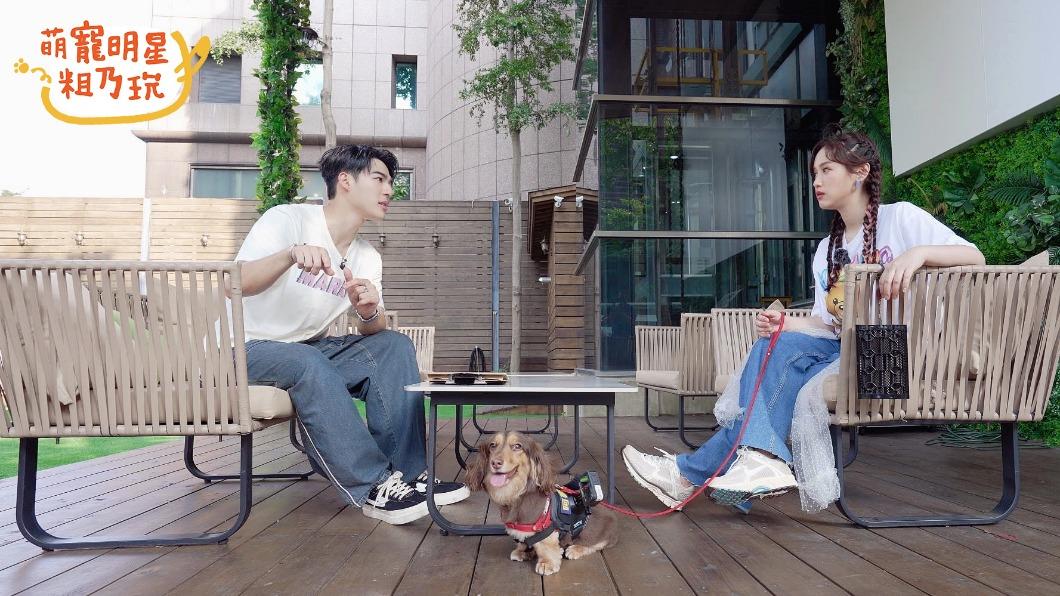 愛犬興奮失控!吳姍儒hold不住崩潰怒喊:老公也快不聽我話