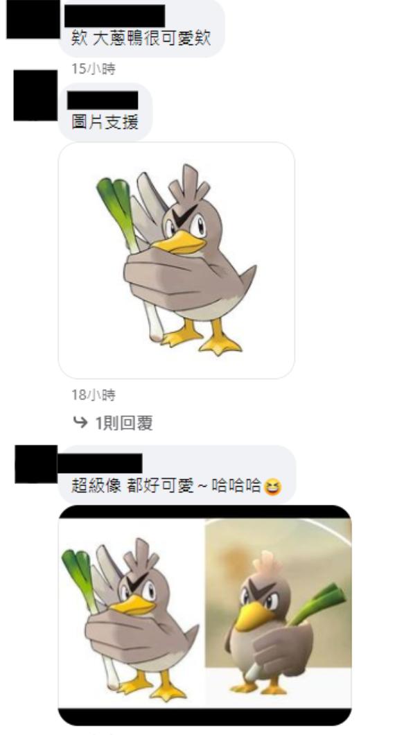 莎莎男友說她打扮像大蔥鴨。（圖／翻攝自莎莎 臉書）