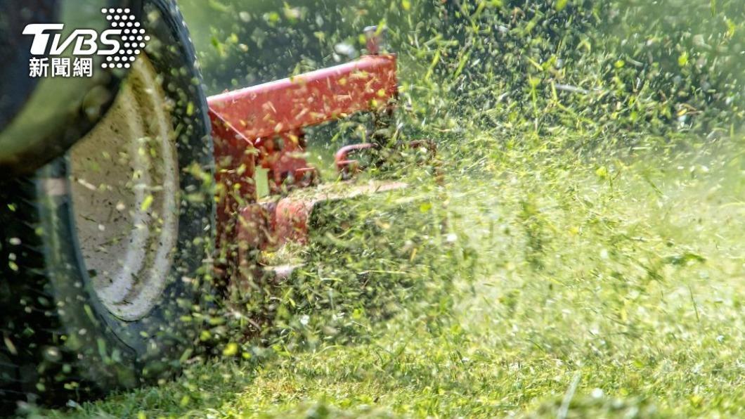 割草機意外將「睡公園」美街友輾死!爸目睹現場遺骸四散秒崩潰