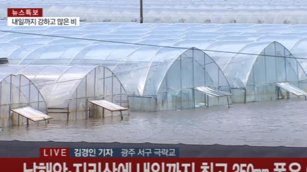 大雨導致韓國農業損失慘重。(圖/翻攝自YonhapnewsTV)